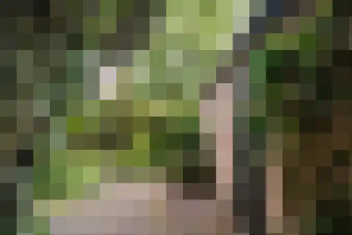 Eksterlaan 145 Haarlem thumbnail 26