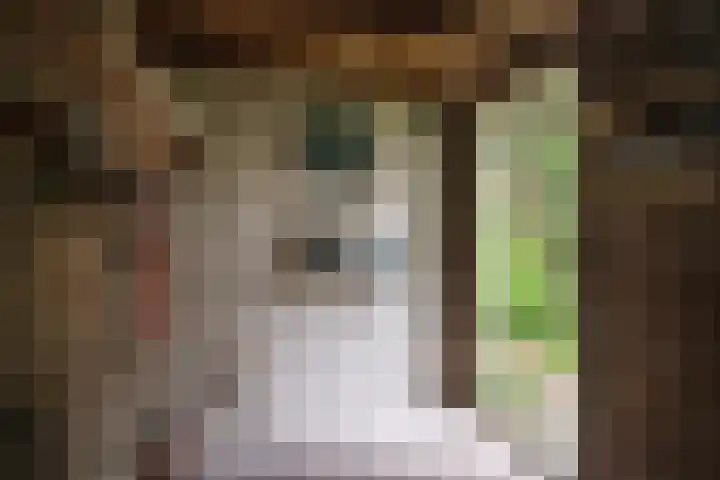 Eksterlaan 145 Haarlem thumbnail 29