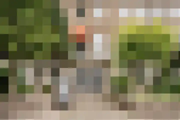 Eksterlaan 145 Haarlem thumbnail 31
