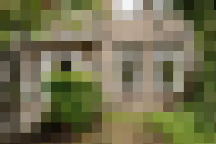Eksterlaan 145 Haarlem thumbnail 33