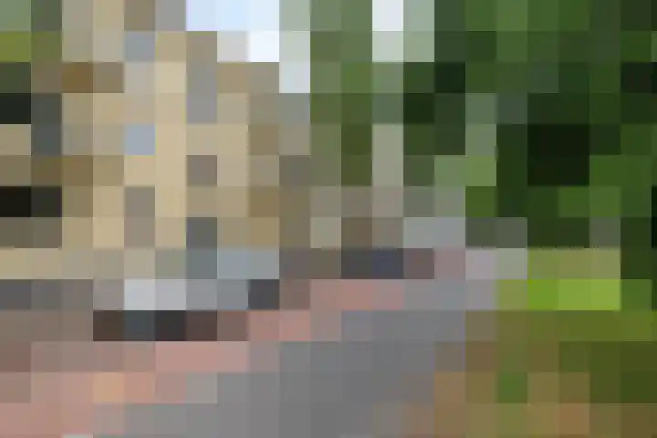 Eksterlaan 212 Haarlem thumbnail 6