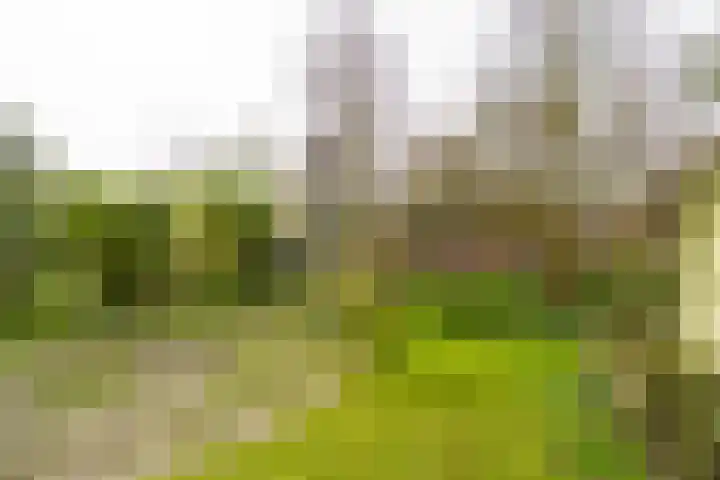 Eksterlaan 218 Haarlem thumbnail 19
