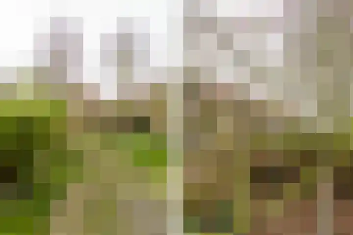 Eksterlaan 218 Haarlem thumbnail 21