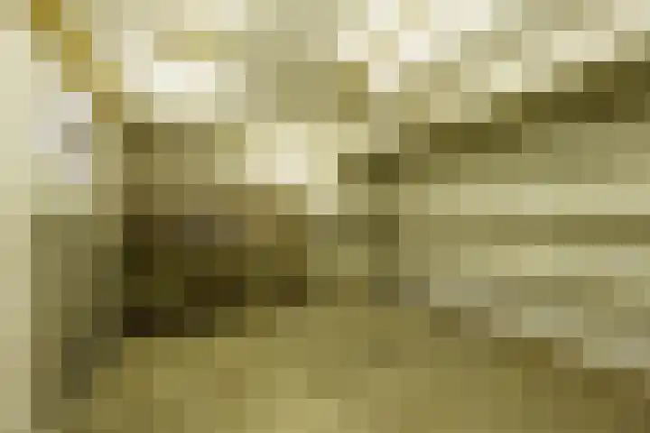 Eksterlaan 218 Haarlem thumbnail 23