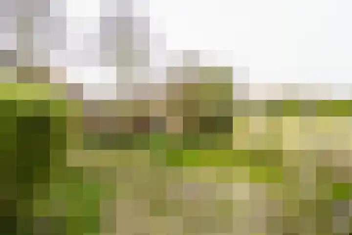 Eksterlaan 218 Haarlem thumbnail 5