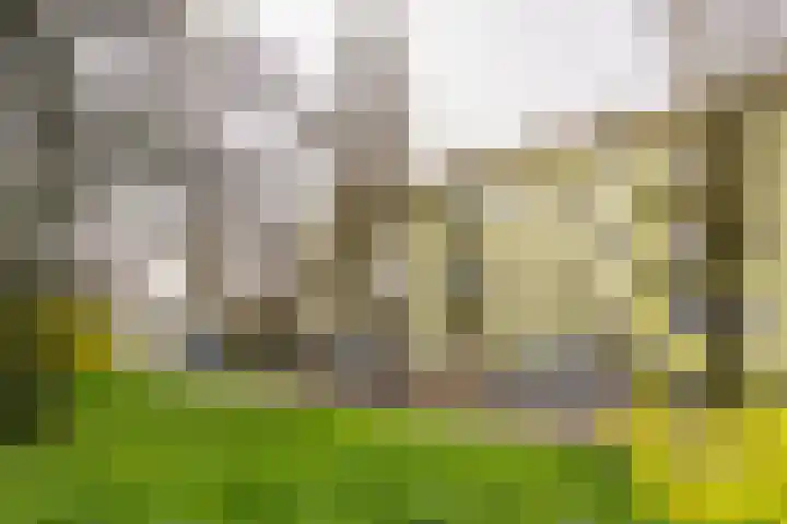 Eksterlaan 218 Haarlem thumbnail 6