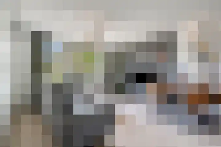 Eksterlaan 256 Haarlem thumbnail 10