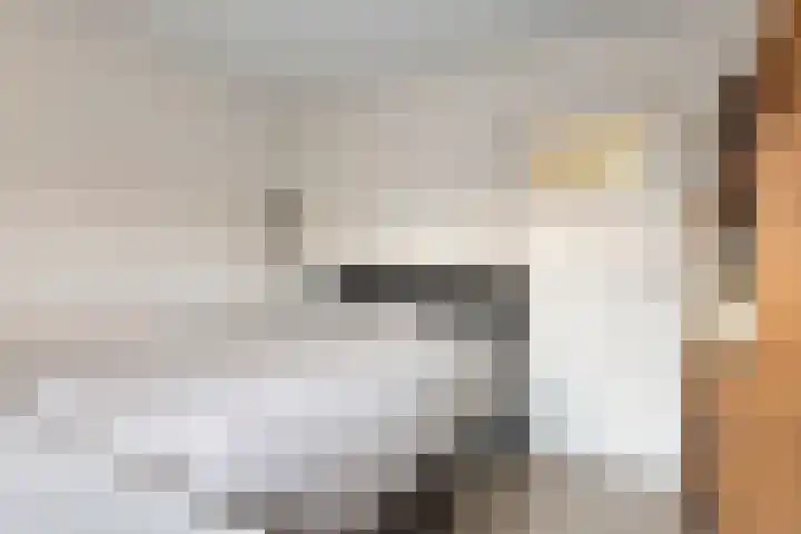 Eksterlaan 256 Haarlem thumbnail 16