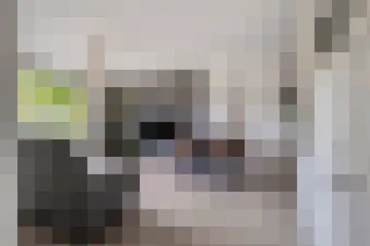 Eksterlaan 256 Haarlem thumbnail 9