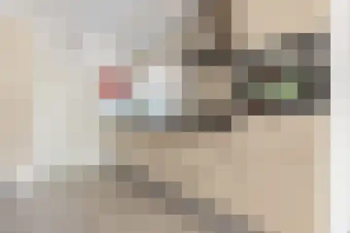 Eksterstraat 1 Schagen thumbnail 13