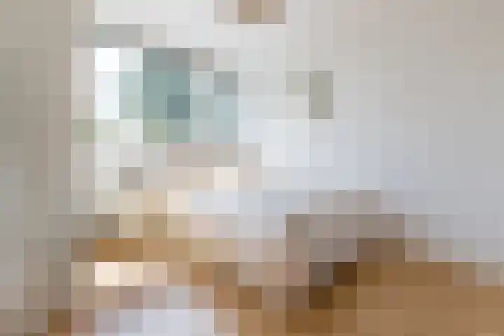 Eksterstraat 1 Schagen thumbnail 18