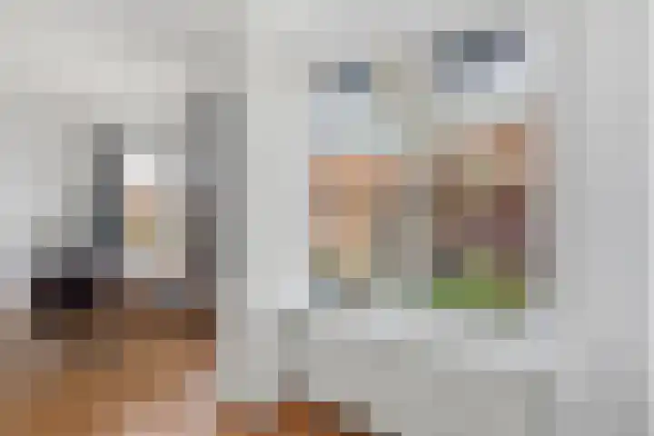 Eksterstraat 19 Amsterdam thumbnail 7