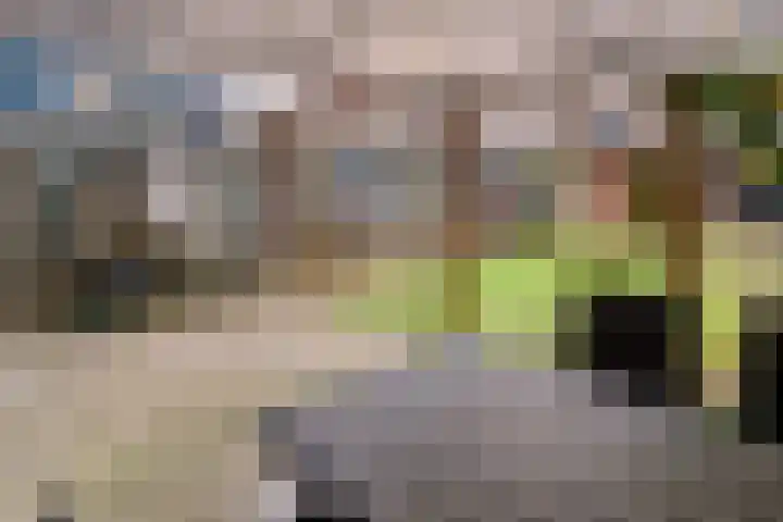 Eksterstraat 4 Helmond thumbnail 5