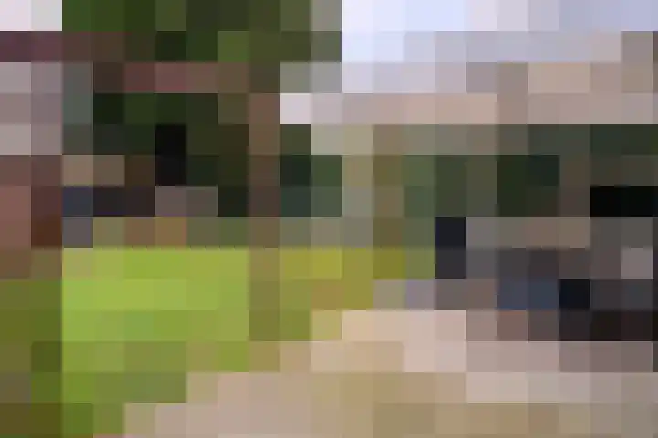 Eksterstraat 4 Helmond thumbnail 6