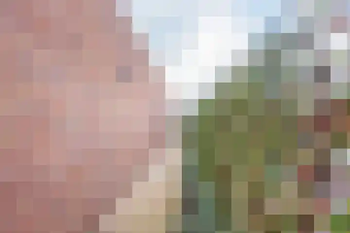 Eksterstraat 78 Ulft thumbnail 36
