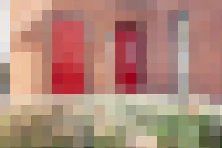 Eksterstraat 78 Ulft thumbnail 6