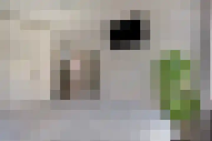 Elandlaan 19 Helmond thumbnail 27