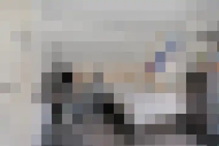Elandlaan 19 Helmond thumbnail 33