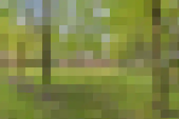 Elandlaan 19 Helmond thumbnail 42