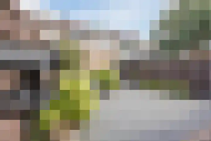 Elandstraat 37 Volkel thumbnail 28