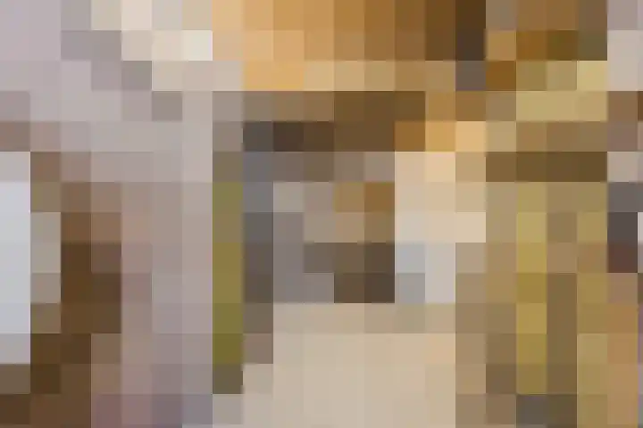 Elandstraat 37 Volkel thumbnail 33