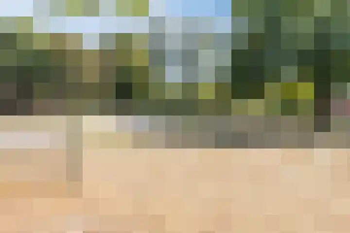 Elandstraat 37 Volkel thumbnail 36