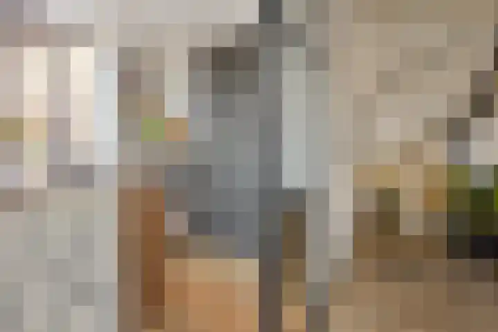 Elba 2 Zoetermeer thumbnail 10