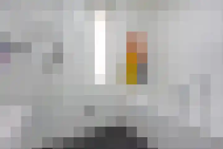 Elba 2 Zoetermeer thumbnail 17