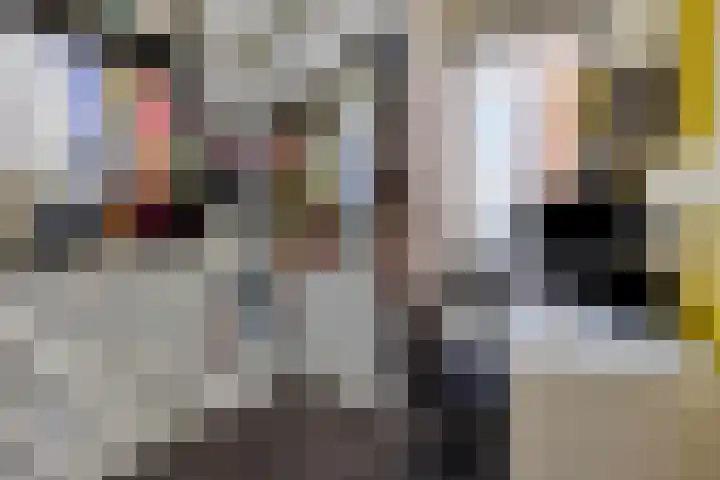 Elba 2 Zoetermeer thumbnail 19
