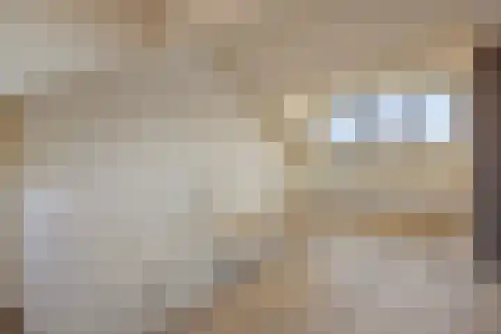 Elba 2 Zoetermeer thumbnail 21