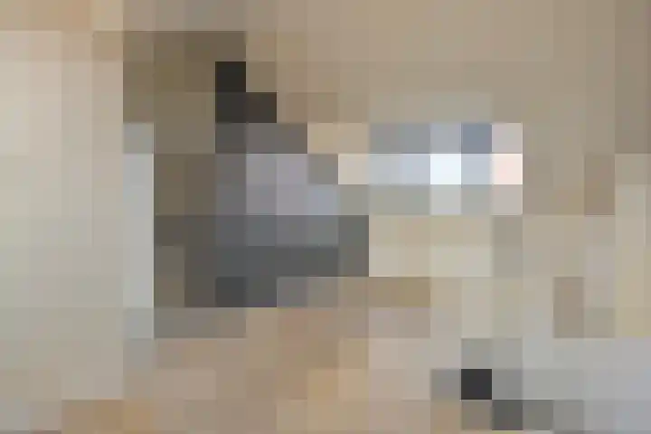 Elba 2 Zoetermeer thumbnail 22
