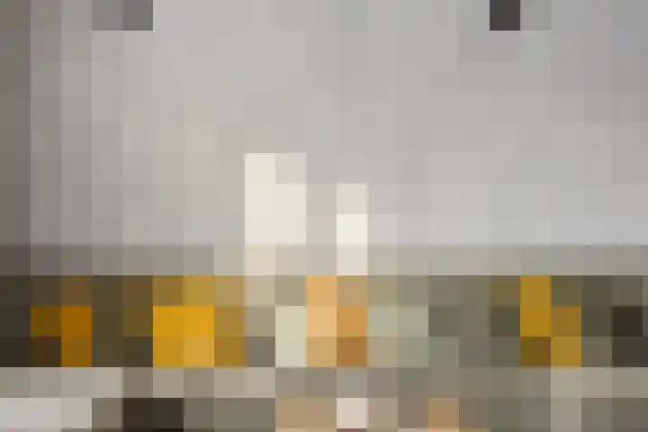 Elba 2 Zoetermeer thumbnail 28