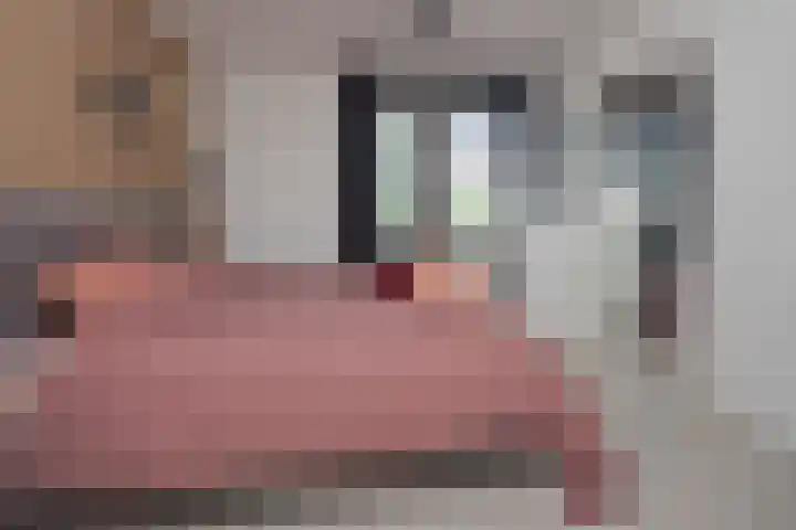 Elbe 19 Uithoorn thumbnail 18