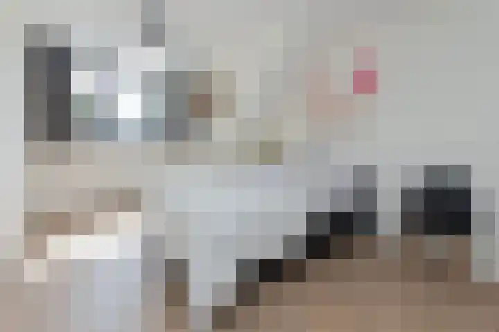 Elbe 19 Uithoorn thumbnail 23