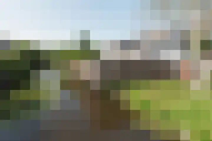 Elbe 19 Uithoorn thumbnail 5