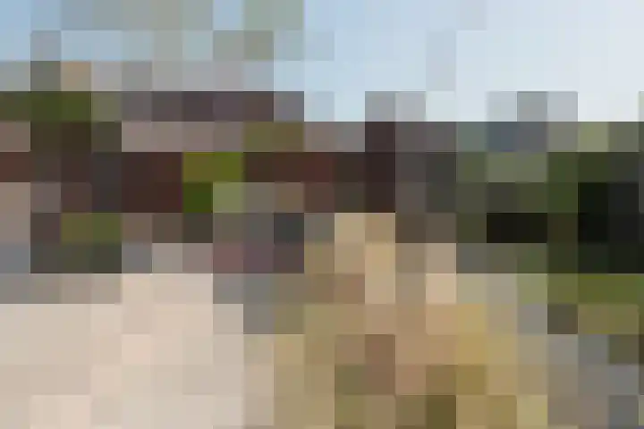 Elbe 19 Uithoorn thumbnail 7