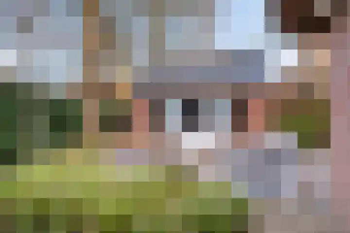 Elburgerweg 26 1 Heerde thumbnail 41