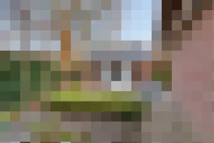 Elburgerweg 26 1 Heerde thumbnail 42