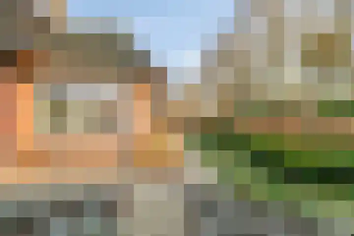Elburgerweg 26 1 Heerde thumbnail 47