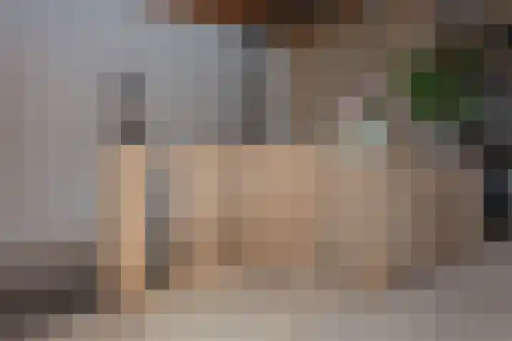 Elburgerweg 4 Hattemerbroek thumbnail 36