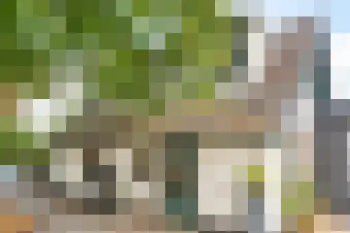 Elburgerweg 4 Hattemerbroek thumbnail 43