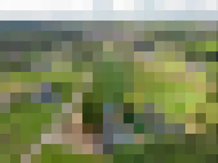 Elburgerweg 4 Hattemerbroek thumbnail 70