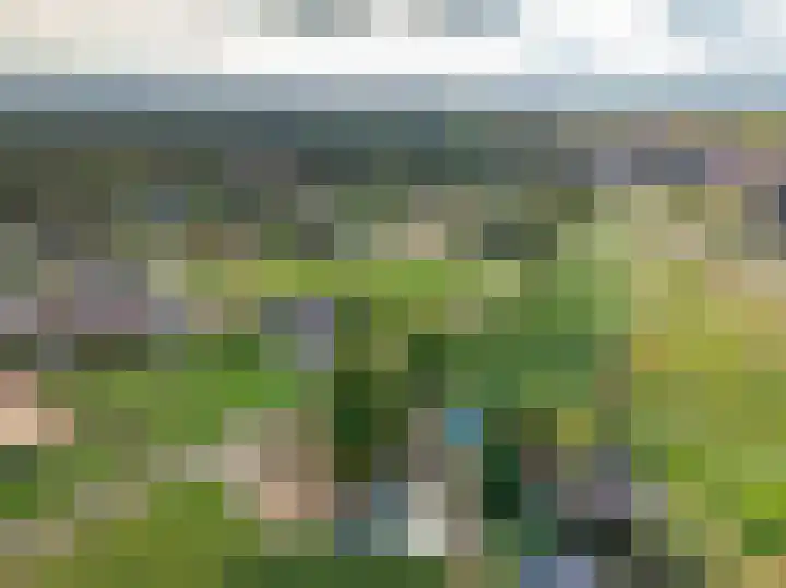 Elburgerweg 4 Hattemerbroek thumbnail 71