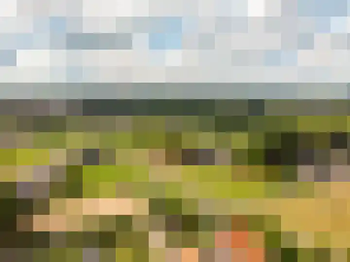 Elburgerweg 4 Hattemerbroek thumbnail 79