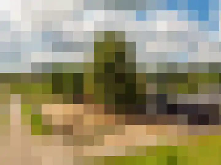 Elburgerweg 4 Hattemerbroek thumbnail 81