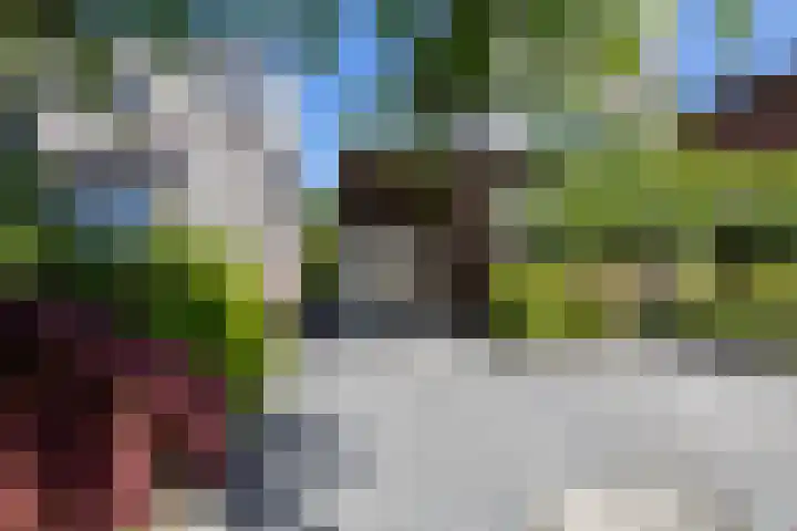 Eldersveld 34 Roden thumbnail 10