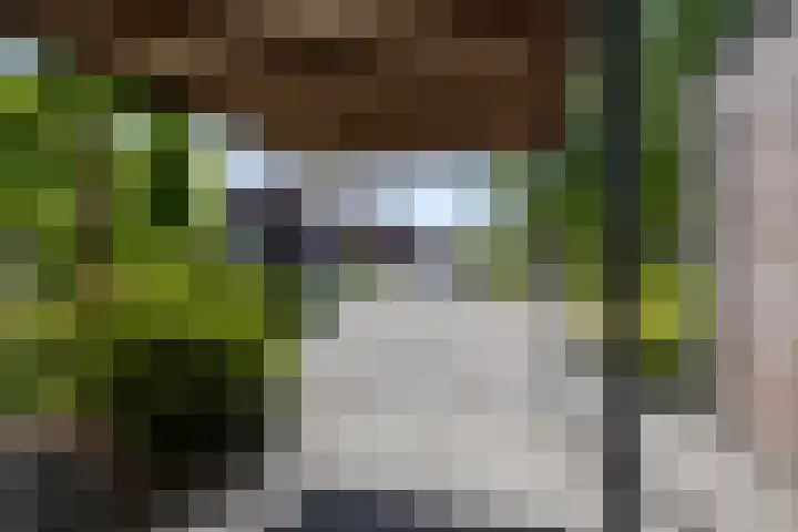 Eldersveld 34 Roden thumbnail 12