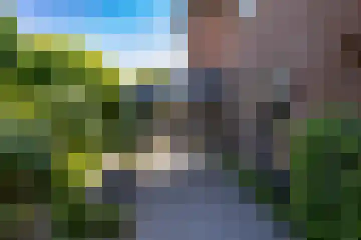 Eldersveld 34 Roden thumbnail 13