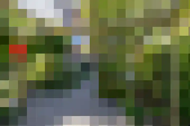 Eldersveld 34 Roden thumbnail 16