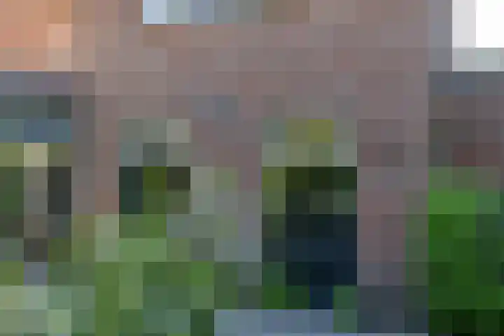 Eldersveld 34 Roden thumbnail 17